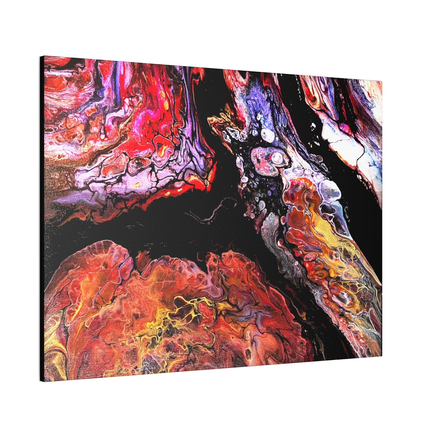 Vibrant X Ray Canvas