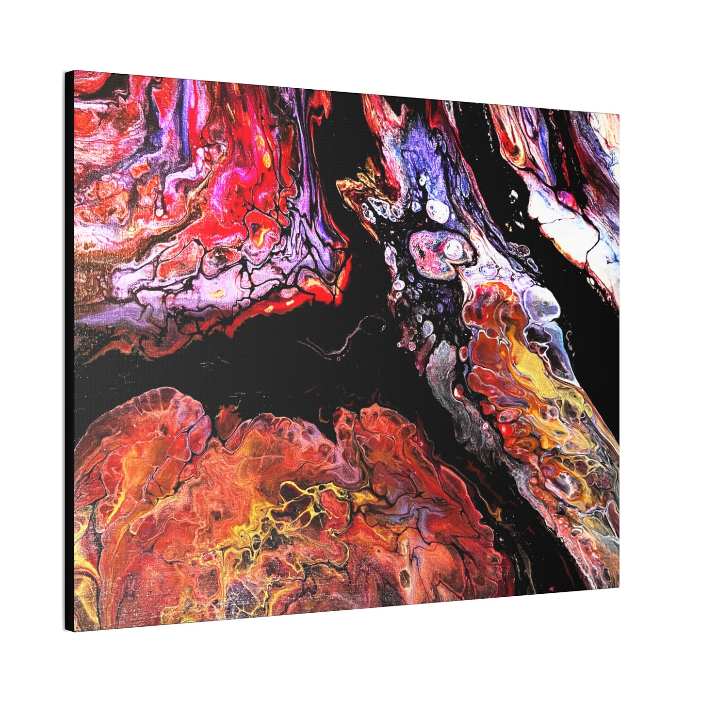 Vibrant X Ray Canvas