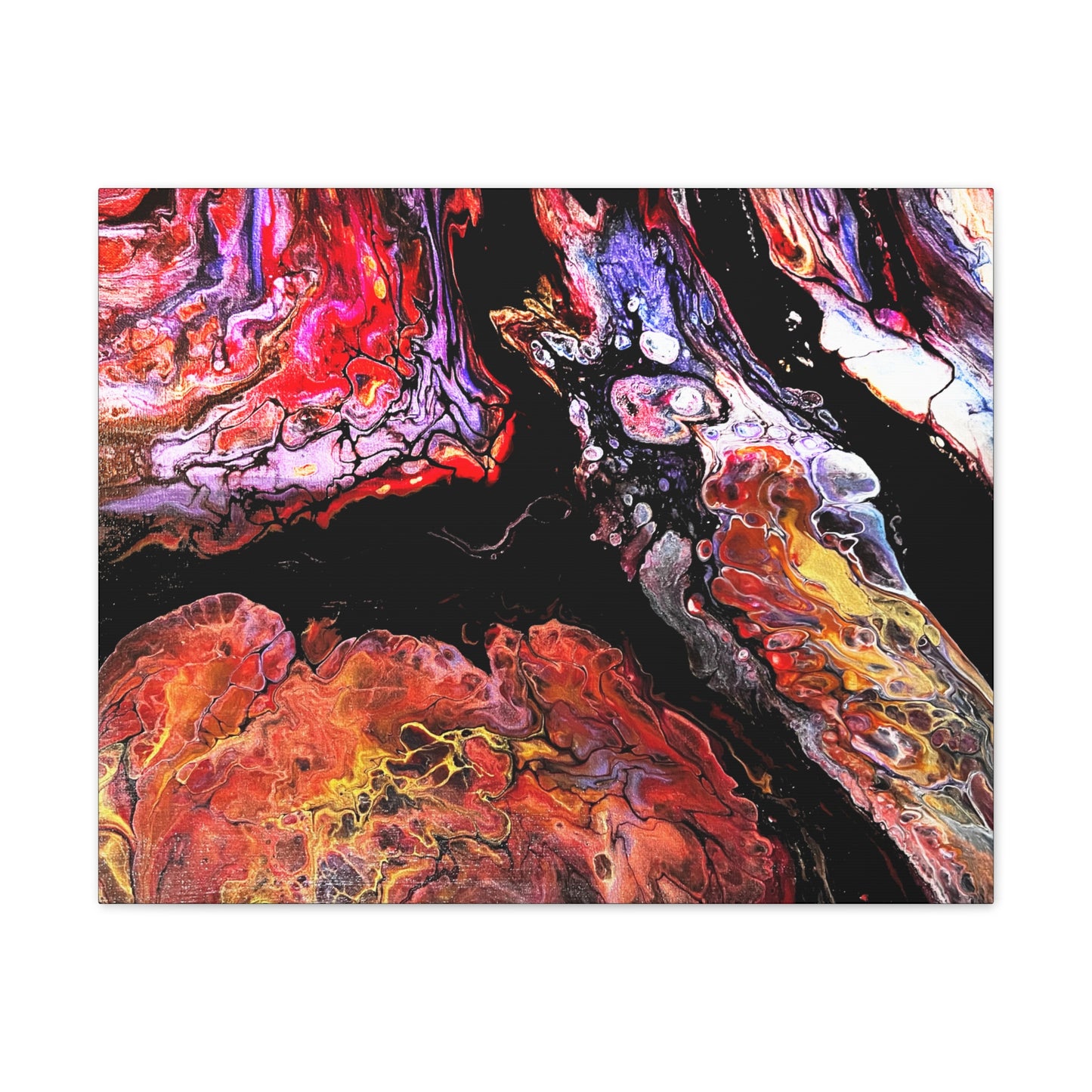 Vibrant X Ray Canvas