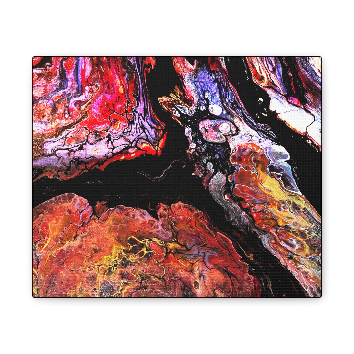Vibrant X Ray Canvas