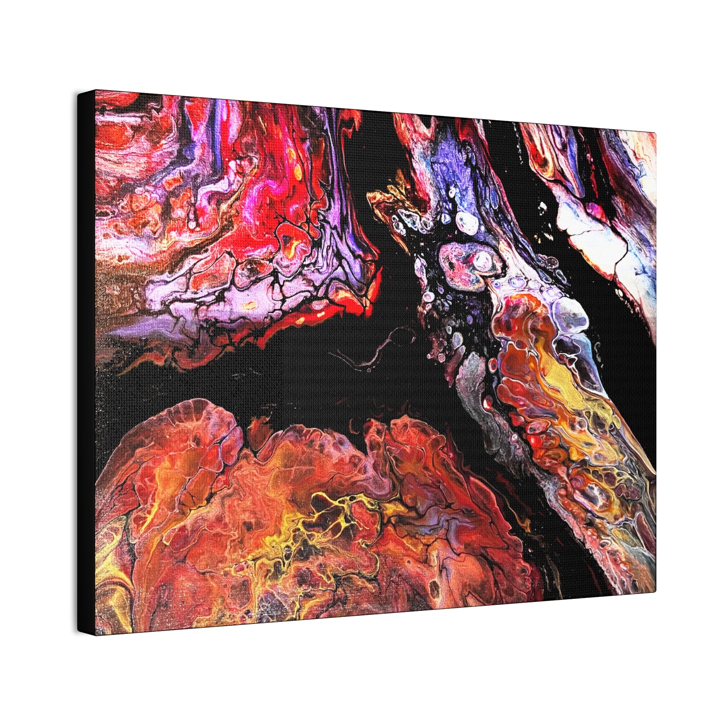 Vibrant X Ray Canvas