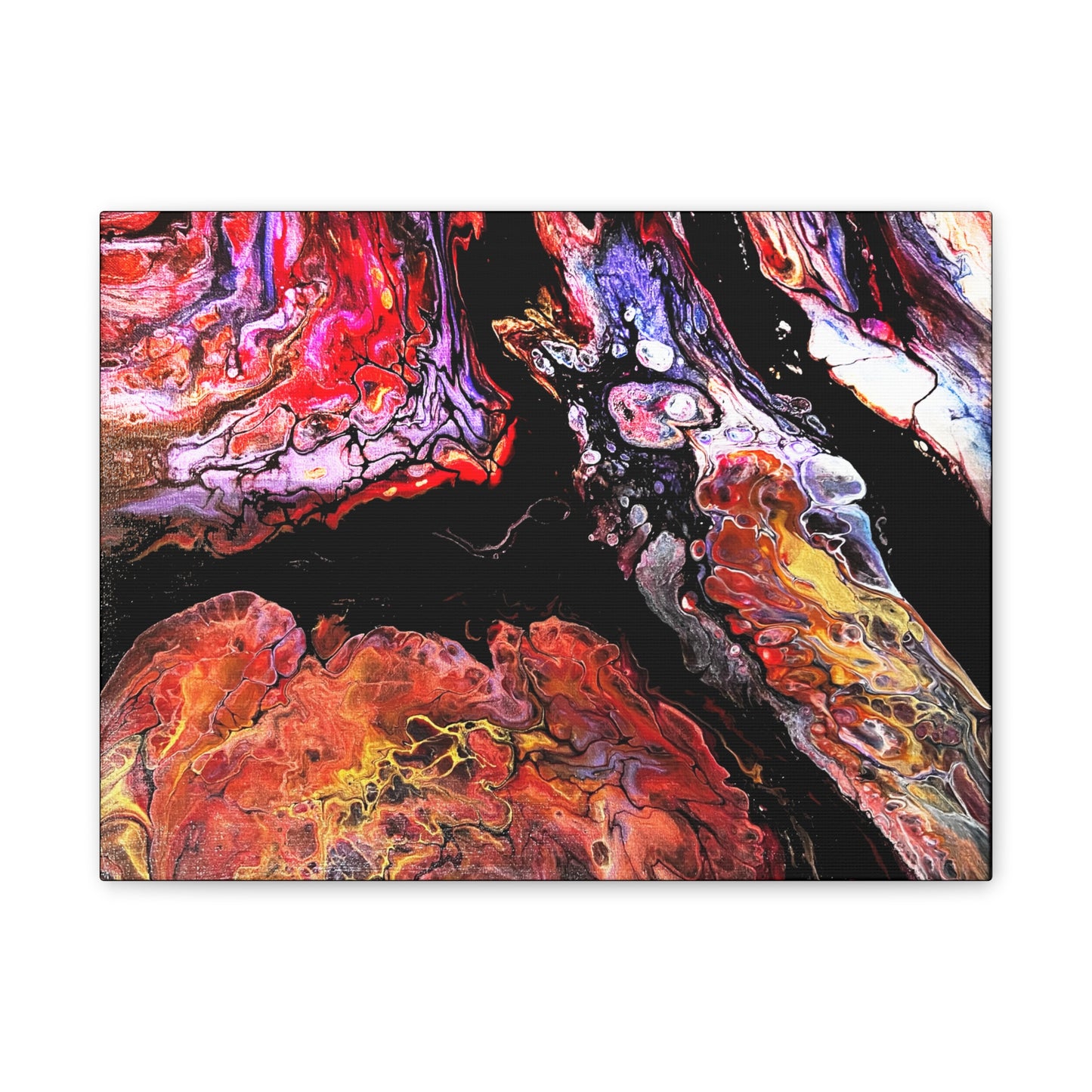 Vibrant X Ray Canvas