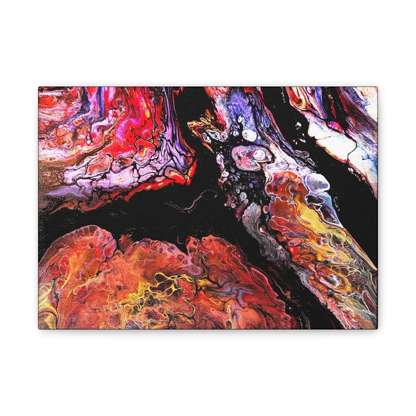 Vibrant X Ray Canvas