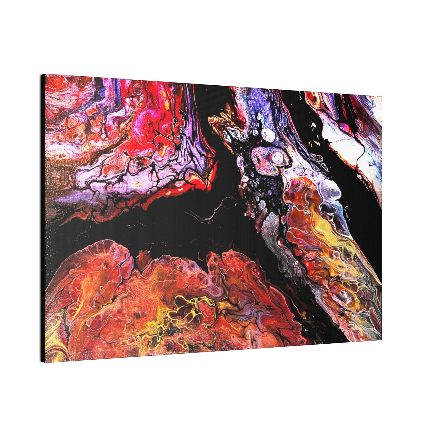 Vibrant X Ray Canvas