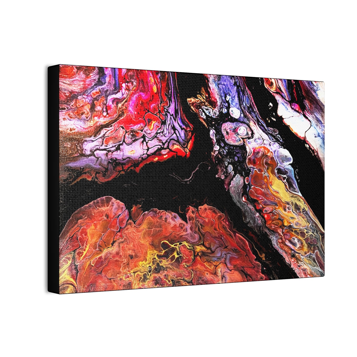 Vibrant X Ray Canvas