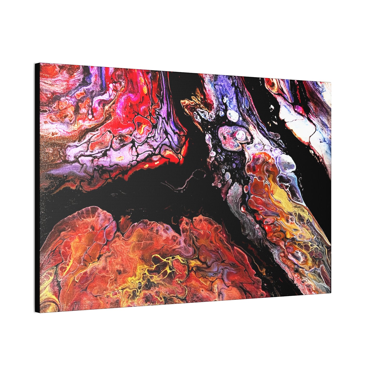 Vibrant X Ray Canvas