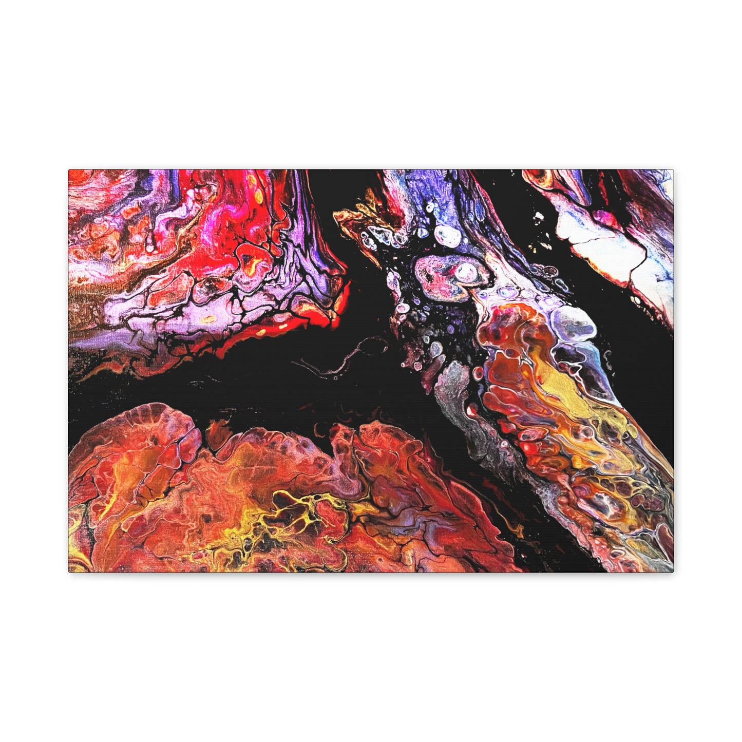 Vibrant X Ray Canvas