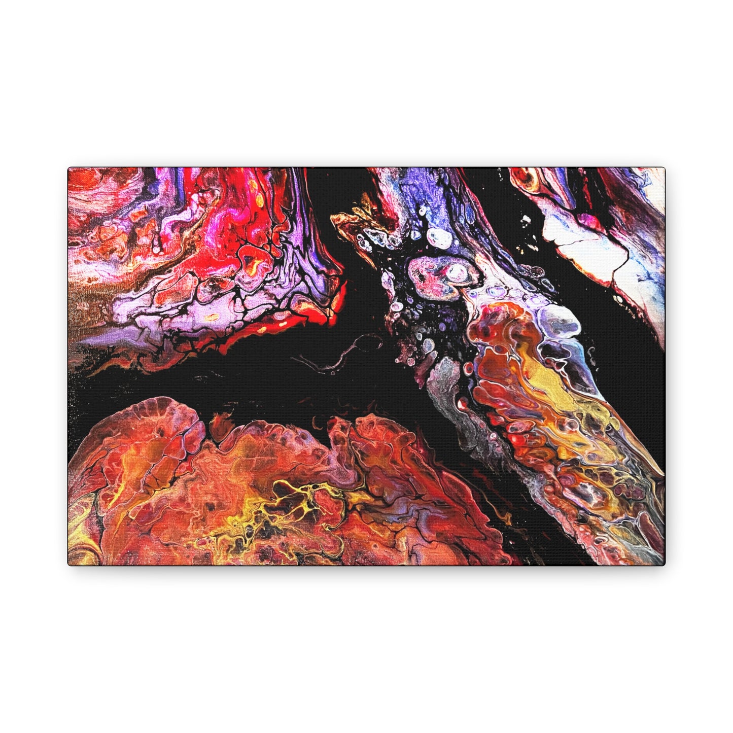 Vibrant X Ray Canvas