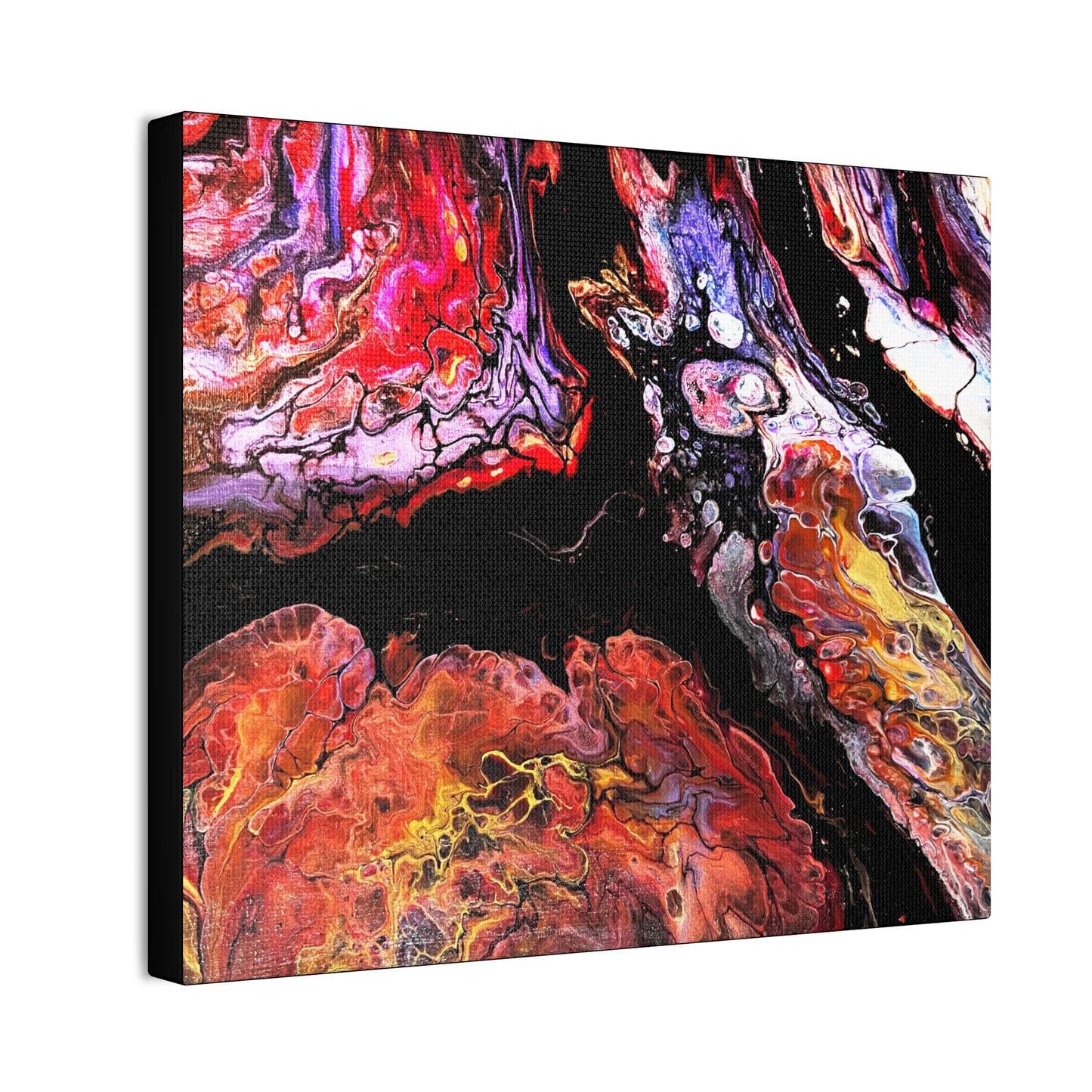 Vibrant X Ray Canvas