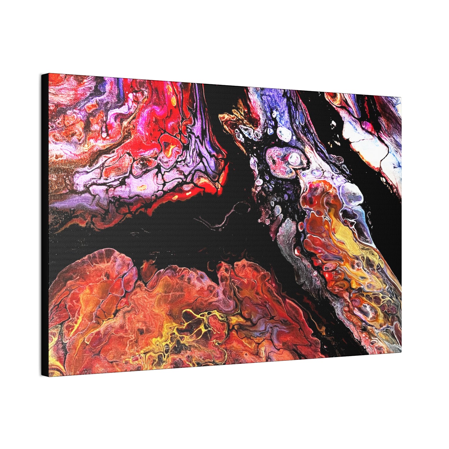 Vibrant X Ray Canvas