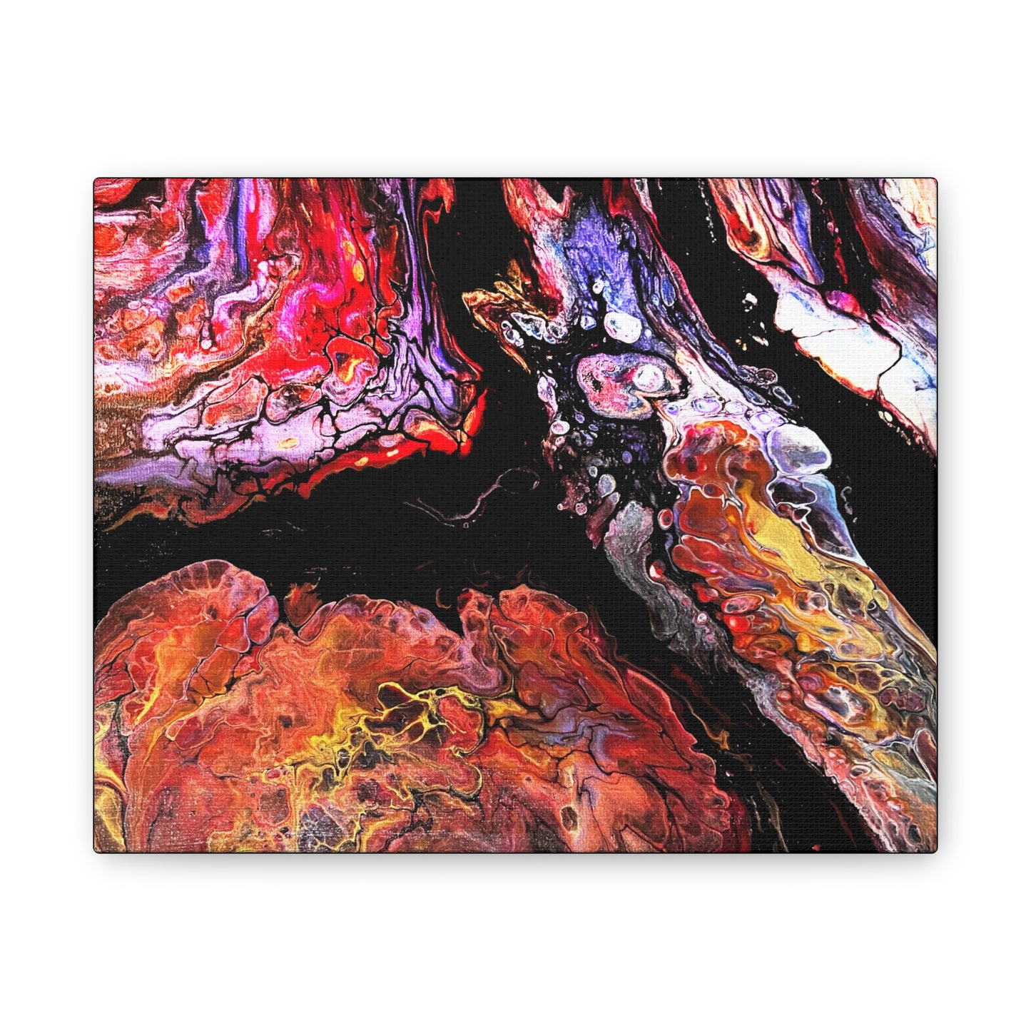 Vibrant X Ray Canvas