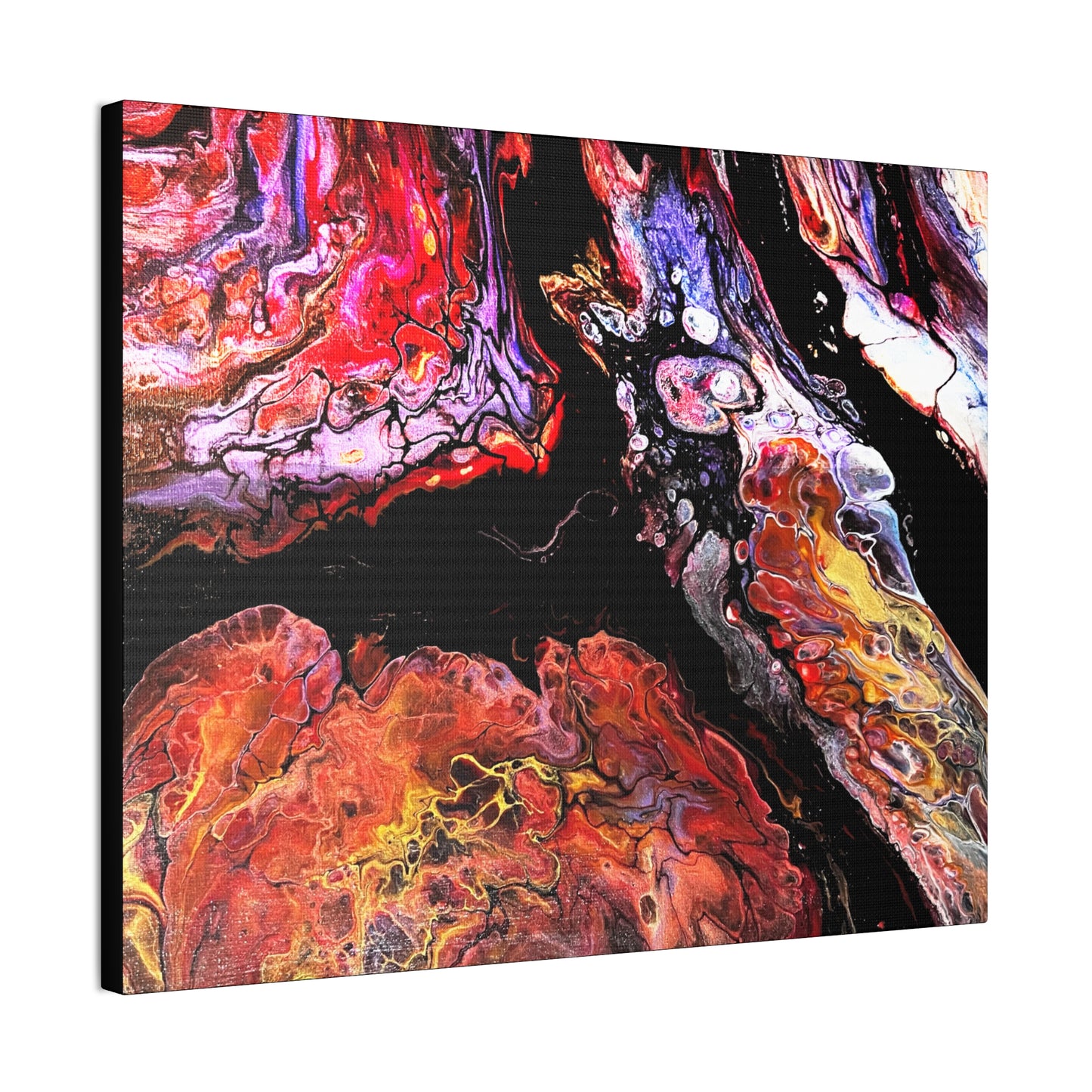 Vibrant X Ray Canvas