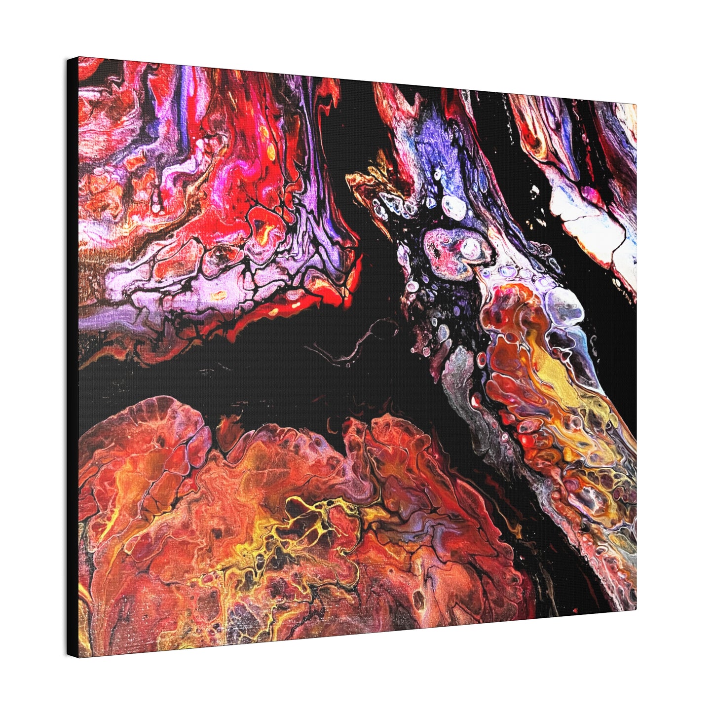 Vibrant X Ray Canvas