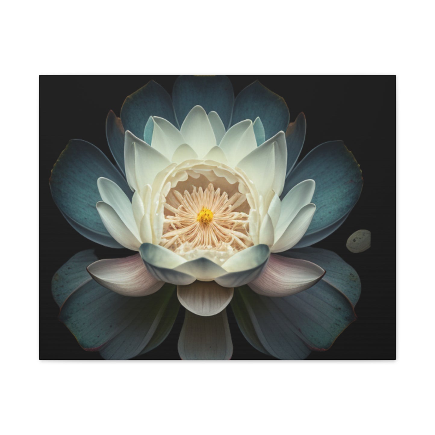 Tranquil Bloom Canvas Print
